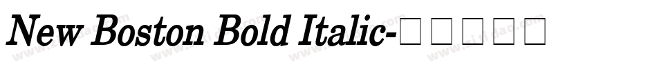 New Boston Bold Italic字体转换